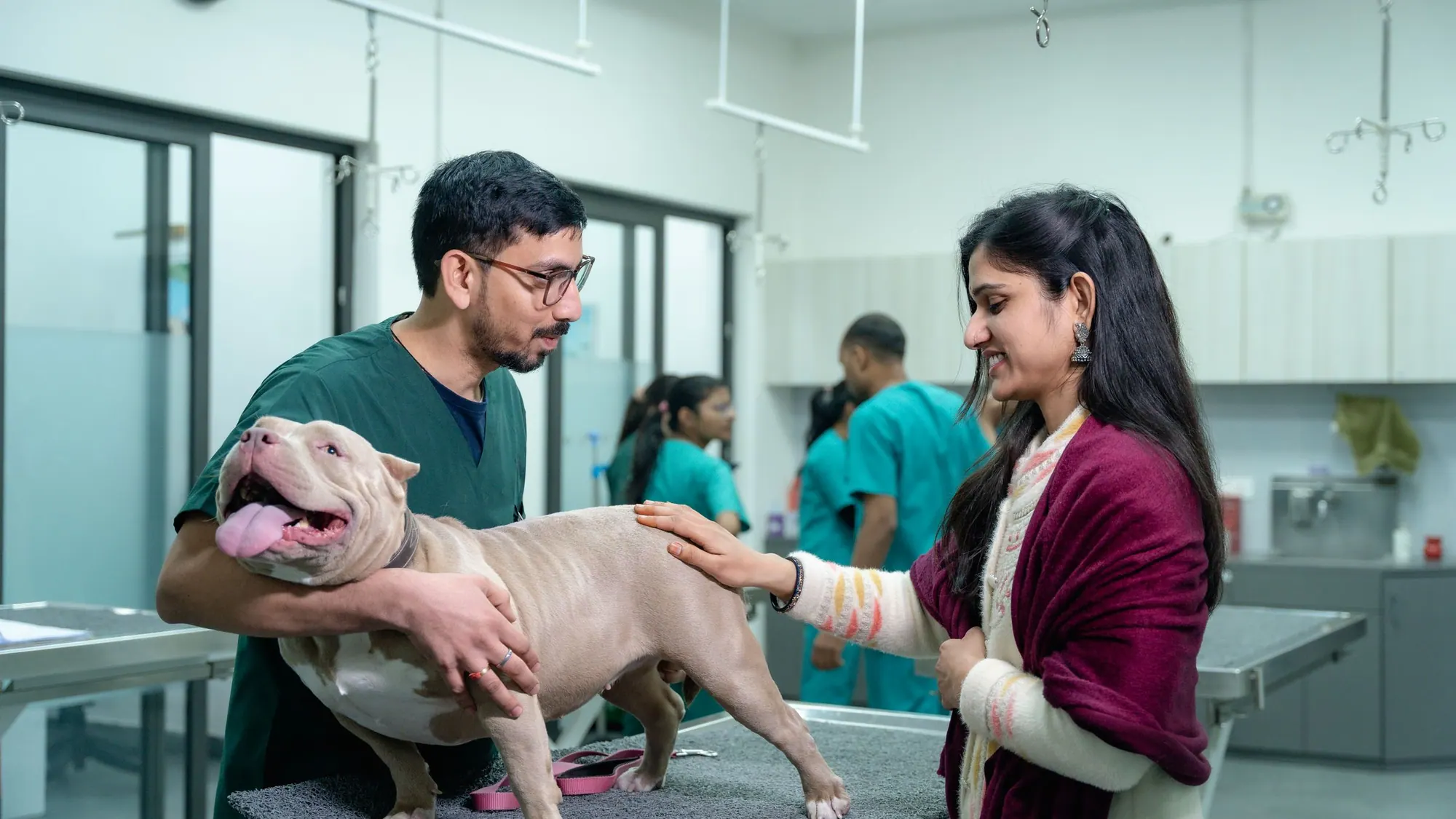 UK veterinary practice