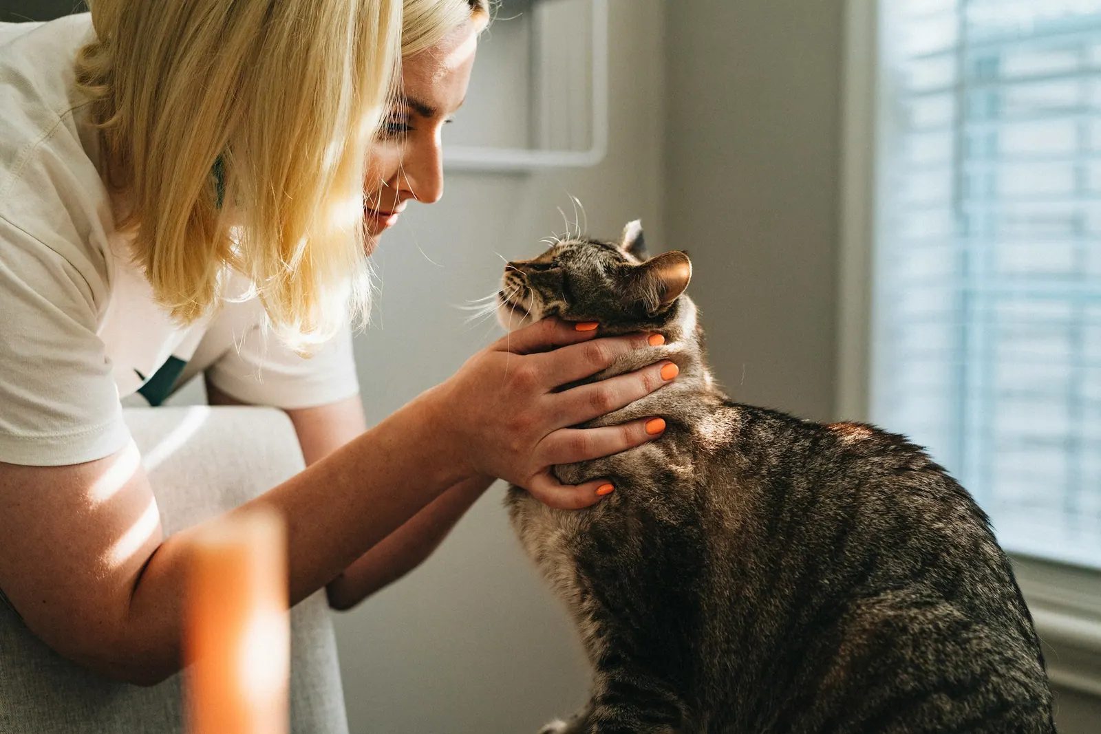 UK veterinary practice